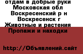 отдам в добрые руки - Московская обл., Воскресенский р-н, Воскресенск г. Животные и растения » Пропажи и находки   